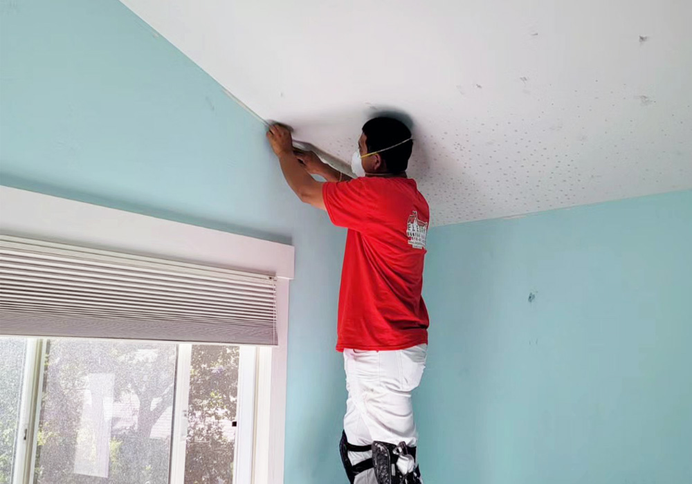 interior painters Bay Area